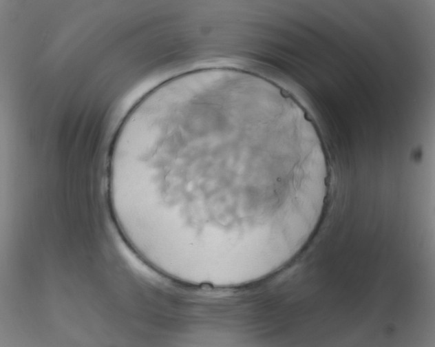 X0000115171143200911251328