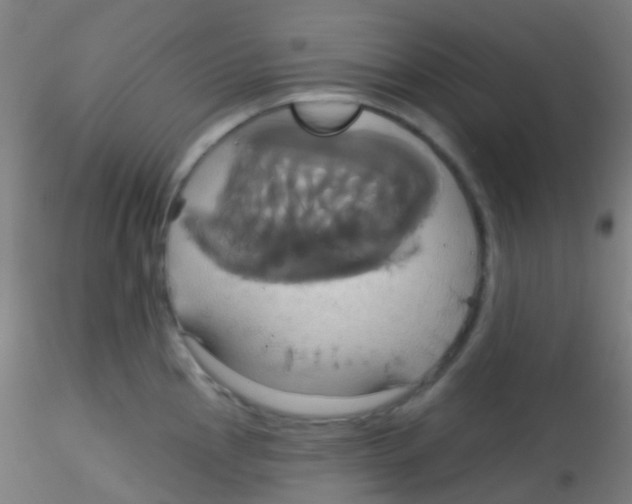 X0000115171145200911251328