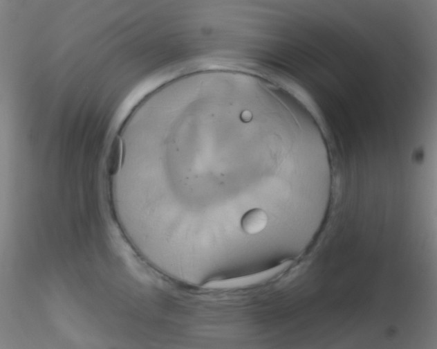 X0000115171146200911251328