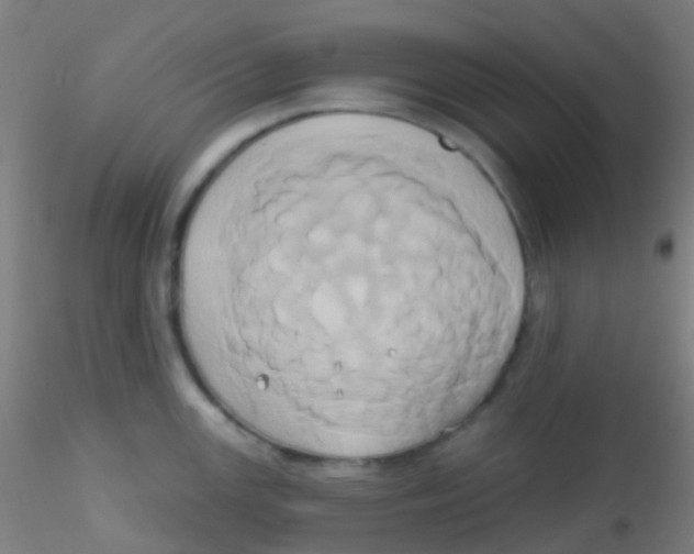 X0000115171147200911251328