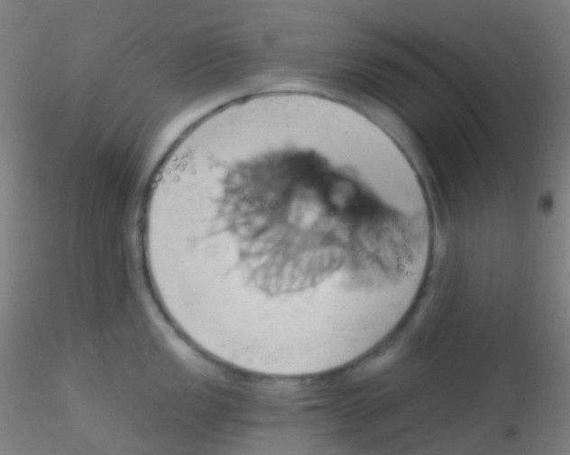 X0000115171149200911251328