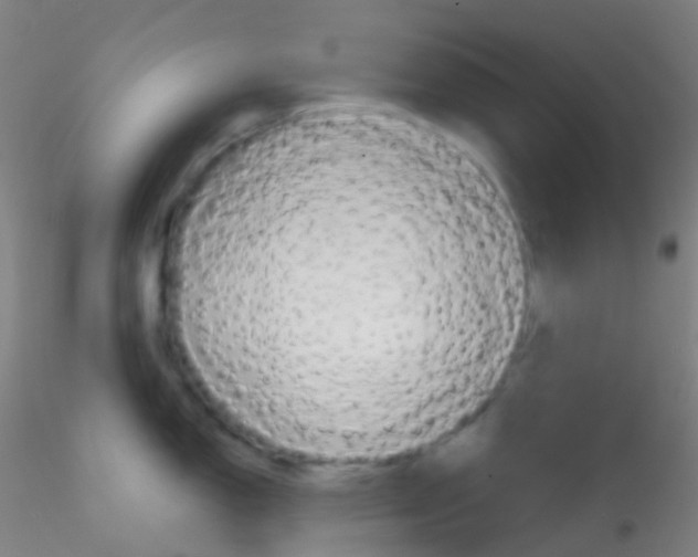 X0000115171150200911251328