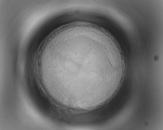 X0000115171151200911251328