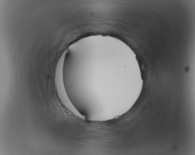 X0000115171153200911251327