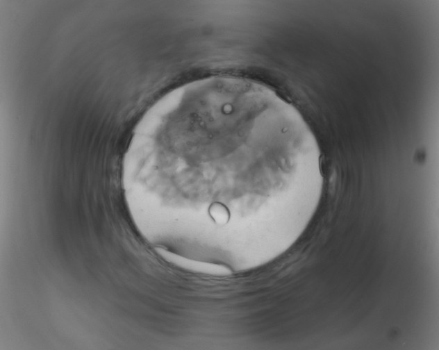 X0000115171156200911251327