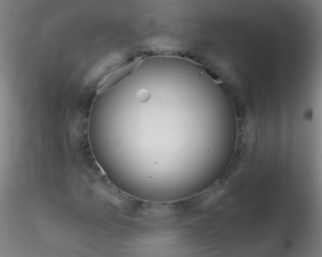 X0000115171157200911251327