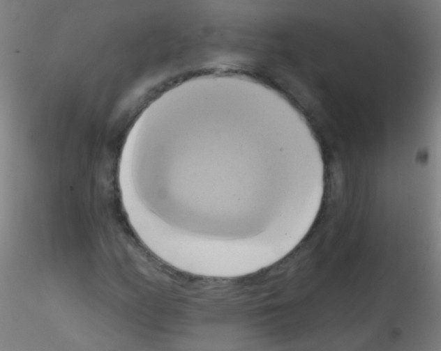 X0000115171158200911251327