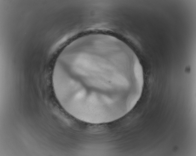 X0000115171159200911251327