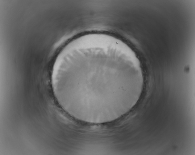 X0000115171160200911251327