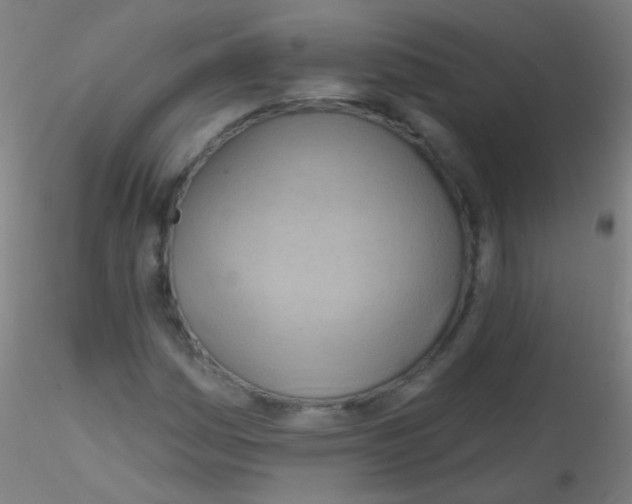 X0000115171161200911251327