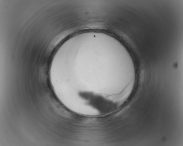 X0000115171162200911251327