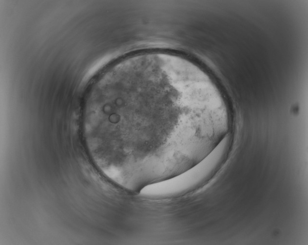 X0000115171163200911251327