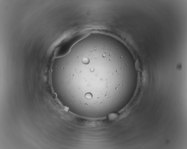 X0000115171165200911251327