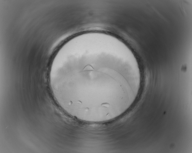 X0000115171166200911251327