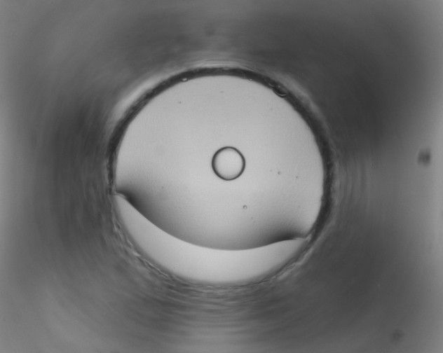 X0000115171167200911251327