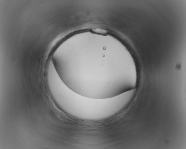 X0000115171168200911251327