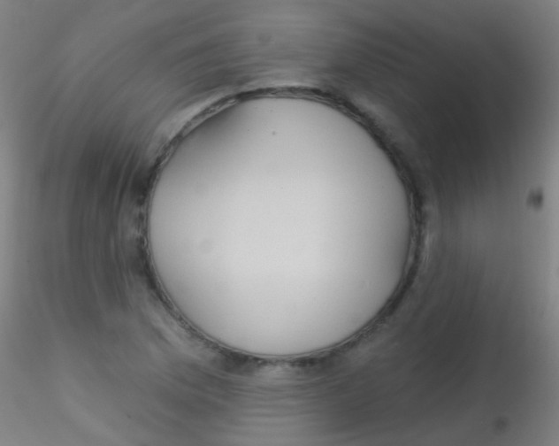 X0000115171169200911251327