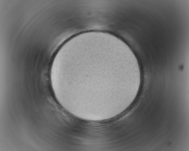 X0000115171170200911251327