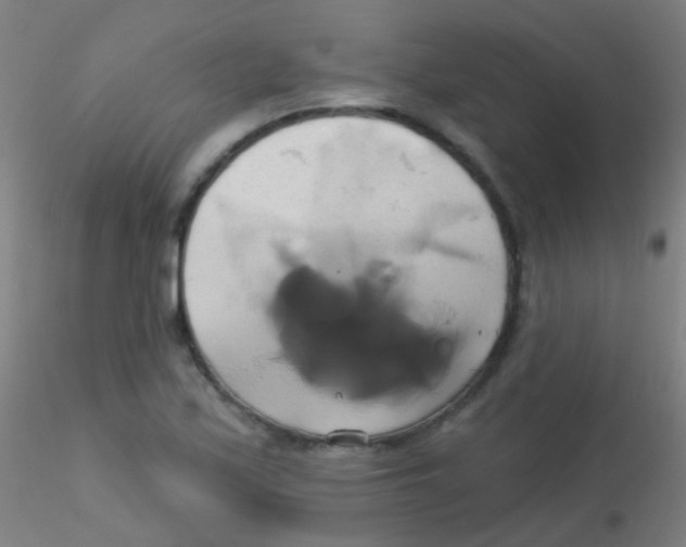 X0000115171171200911251327