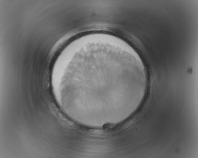 X0000115171172200911251327