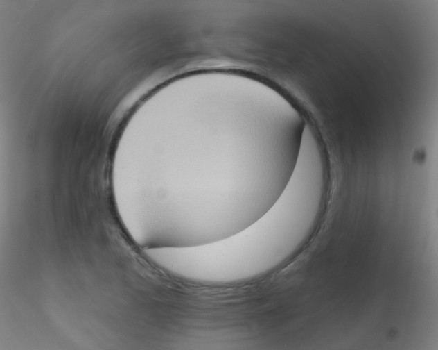 X0000115171173200911251327