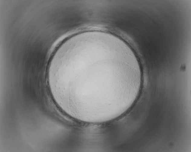 X0000115171174200911251327