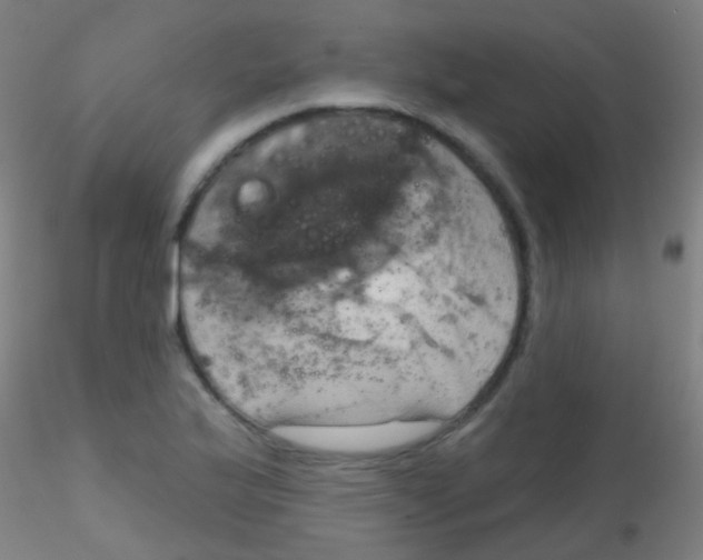 X0000115171175200911251327