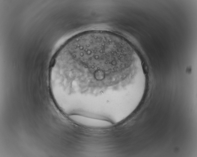 X0000115171176200911251327