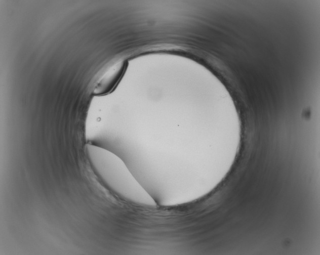 X0000115171177200911251327