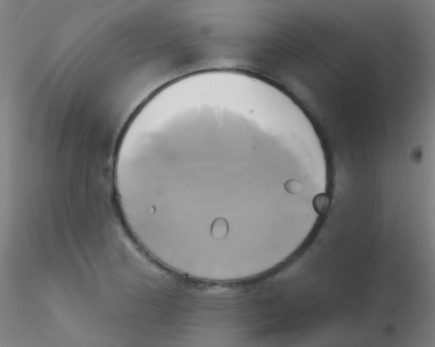 X0000115171178200911251327