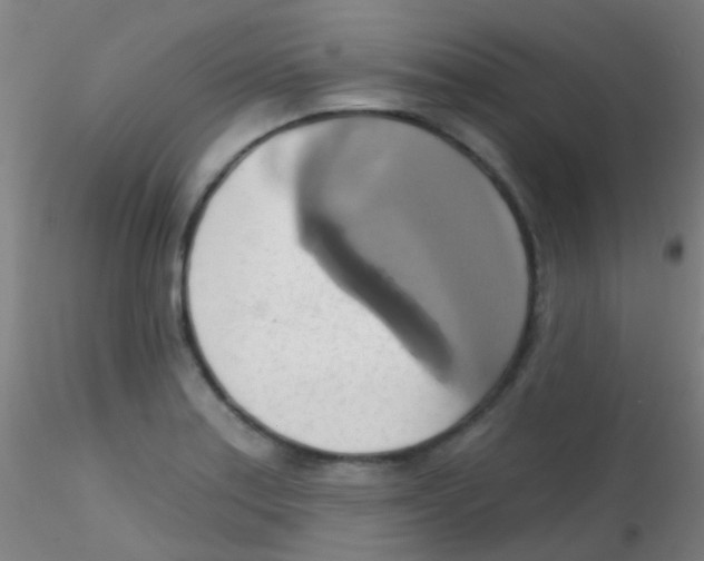 X0000115171179200911251327