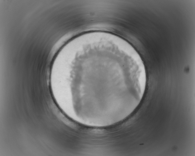 X0000115171180200911251327