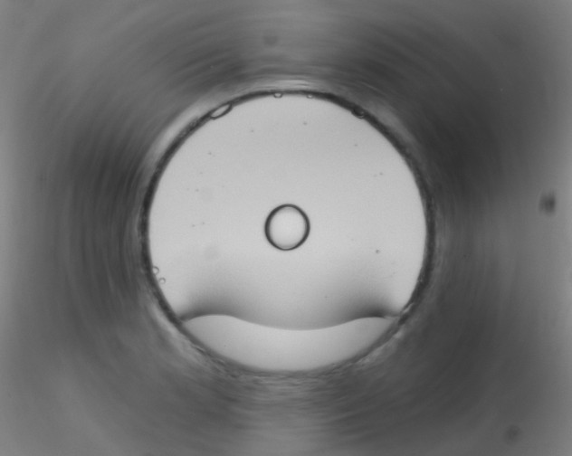 X0000115171181200911251327