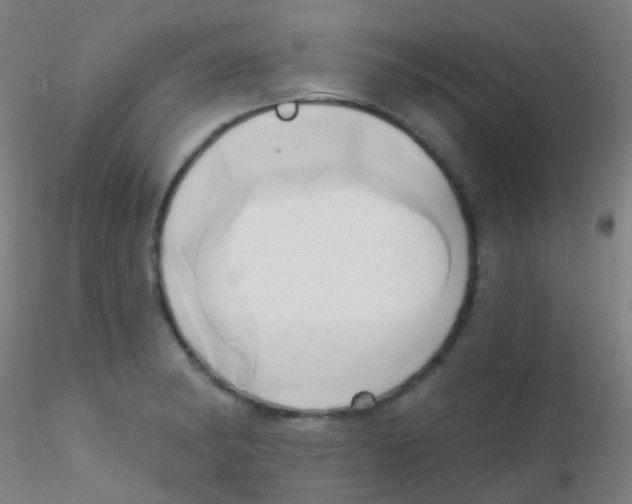 X0000115171182200911251327