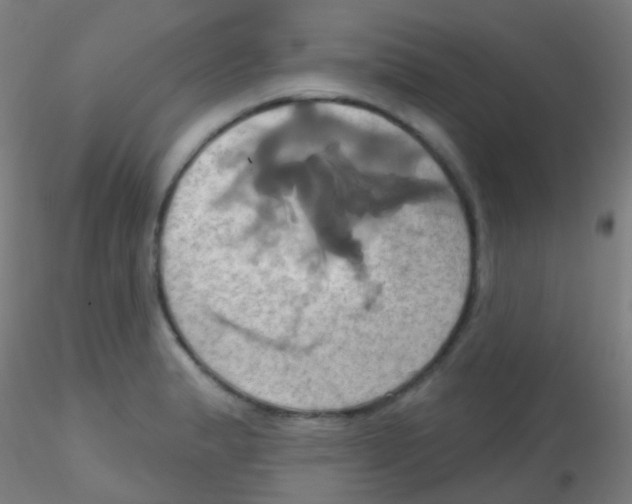 X0000115171183200911251327