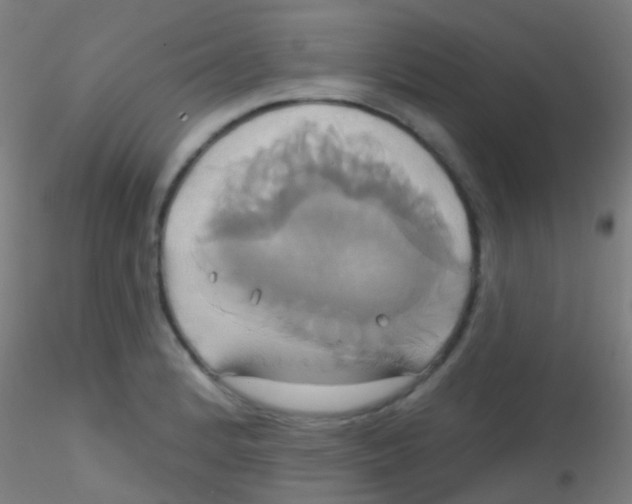 X0000115171184200911251327