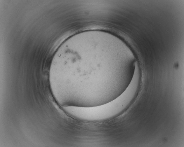 X0000115171185200911251327