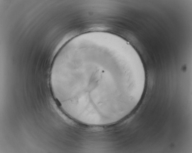 X0000115171186200911251327