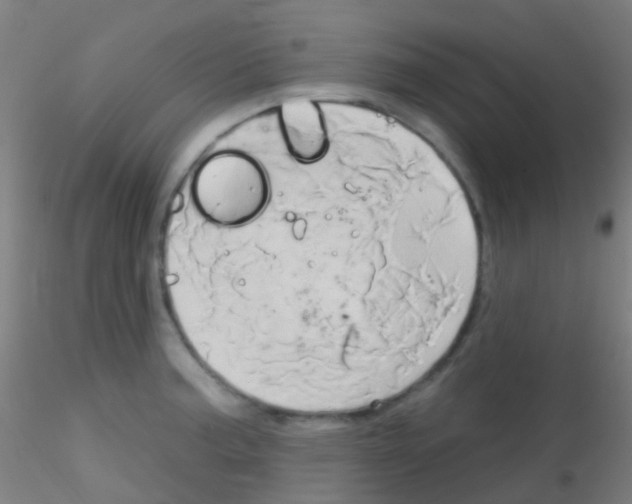 X0000115171187200911251327