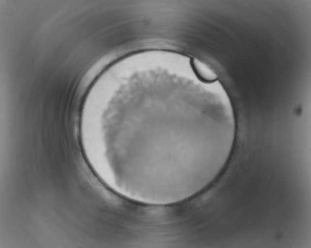 X0000115171188200911251327