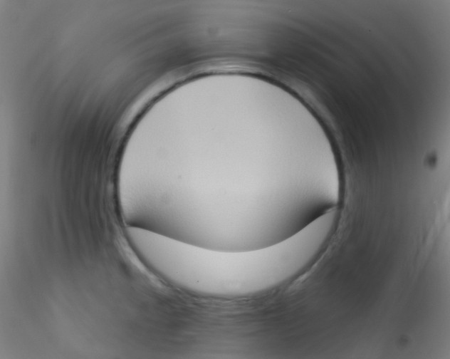 X0000115171189200911251327