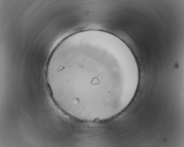 X0000115171190200911251327