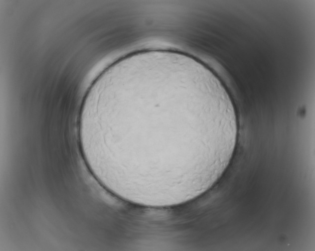 X0000115171191200911251327