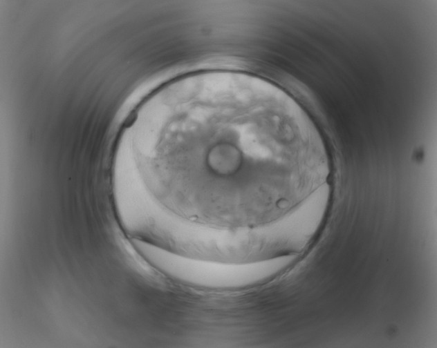 X0000115171192200911251327