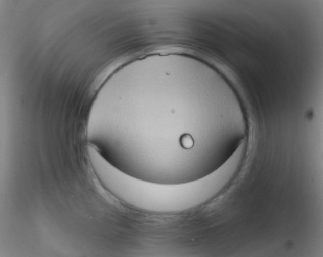 X0000115171193200911251327