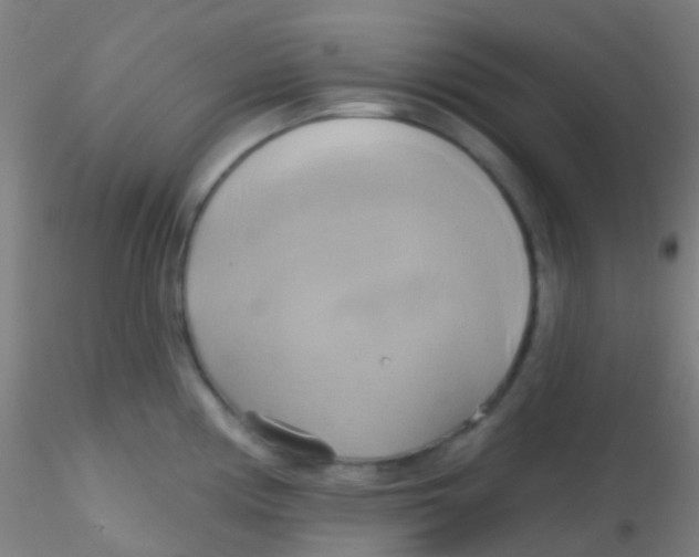 X0000115171194200911251327