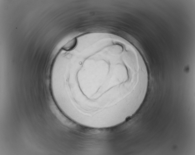 X0000115171195200911251327