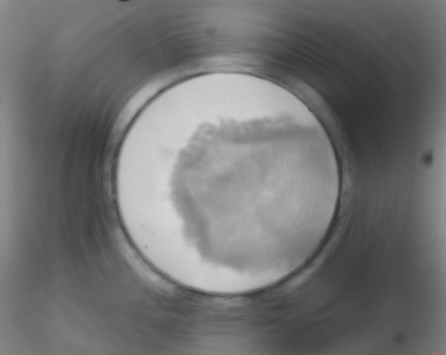 X0000115171196200911251327