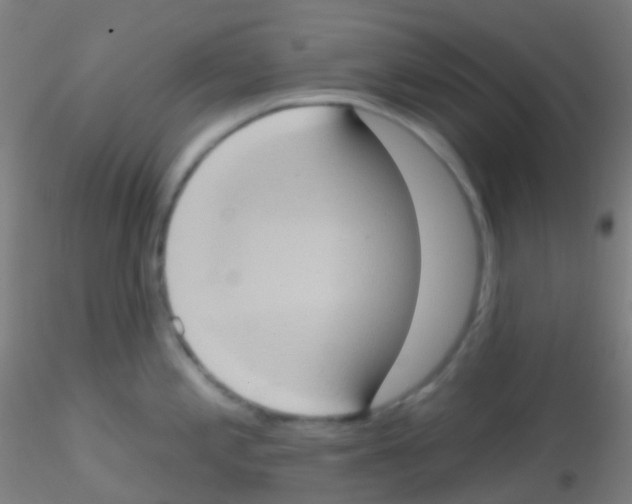 X0000115171197200911251327