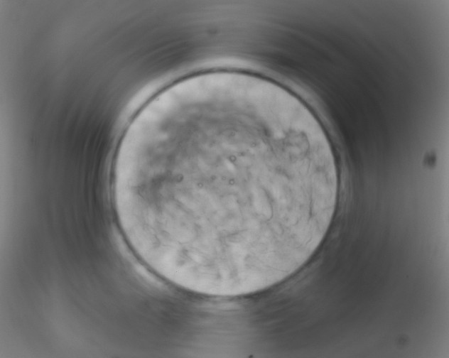 X0000115171199200911251327